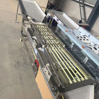 Machine de tri et de calibrage pour fruits (myrtilles, oranges, petites tomates et olives) pour usine de transformation de fruits, modèle SBW-110, 98 kg