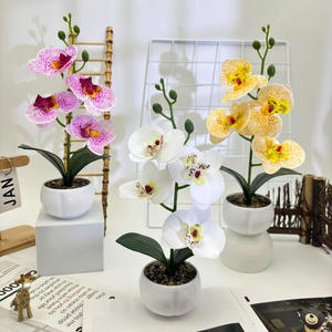 Empat bunga Phalaenopsis hujan batu Bonsai 3D dicetak Pot bunga buatan untuk kantor Desktop Dekorasi anggrek - Product Image 2