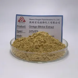 Ginkgo Biloba Extract Semen Ginkgo Seed Ginkgo Biloba Extract Powder Ginkgo Biloba Leaf Extract