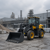 Chargeuse-pelleteuse neuve de 2,5 tonnes, chargeuse frontale, chargeuse sur roues articulée, machine à flèche télescopique, chargeuse compacte, entièrement alimentée au diesel