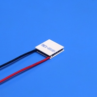 Refroidisseur thermoélectrique à semi-conducteurs Peltier 20x20 TEC103108 03105 03106 3.7V Module Peltier