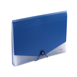 Cartella Portadocumenti Espandibile in PP Ecologico, <span class=keywords><strong>Formato</strong></span> <span class=keywords><strong>A4</strong></span>, 13 Scomparti, Colore Solido, con Etichette Adesive Colorate per Scuola e Ufficio - Product Image 1