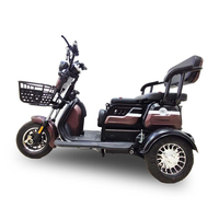 Putian Top Fashion Eec-coche eléctrico para conducir a mano, triciclo recreativo para hombres