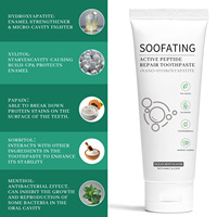 Dentifrice en gros à base de peptides actifs et d'hydroxyapatite nano, renforce les dents, protège les gencives, OEM/ODM, marque privée, anti-caries, usage domestique