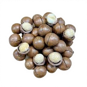 เม็ดมะคาเดเมียอบเปลือกแข็ง แบรนด์ส่วนตัว จำหน่ายส่งปริมาณมาก - Product Image 6