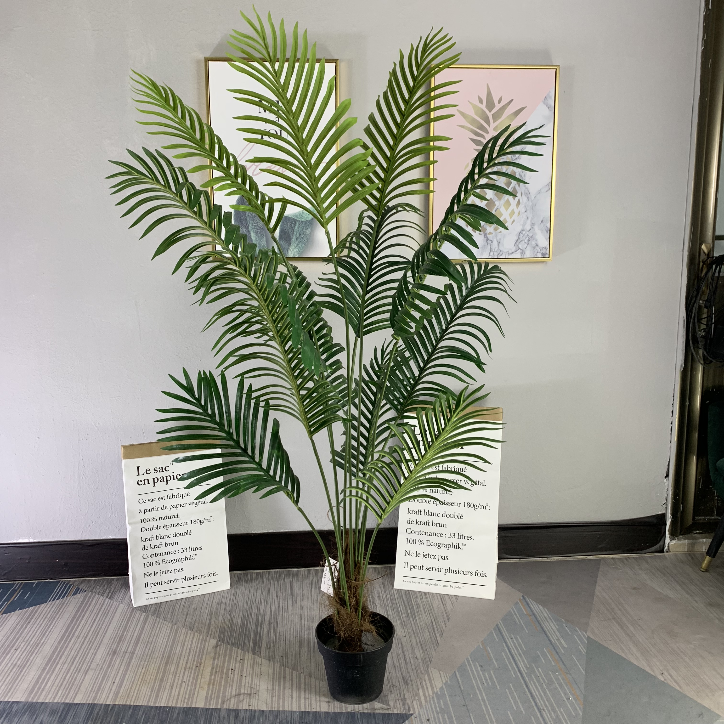 Palma areca 140cm