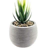Vente en gros d'usine : Mini-pots de fleurs décoratifs en ciment pour plantes vertes assorties, intérieur/extérieur, design classique durable