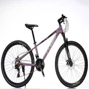 Vélo de montagne pour adultes de haute qualité, best-seller, 24/26 pouces, acier à haute teneur en carbone, 21 vitesses, freins à double disque pour hommes et femmes - Product Image 3