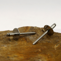 Rivets aveugles en acier inoxydable 304 DIN 7337 Grade 8.8/10.9/12.9 OEM ODM à tête dôme à large rebord 2-22mm – Vente chaude