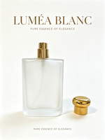 Flacon de parfum de luxe 100 ml en verre dépoli carré avec bouchon champignon doré, flacon pulvérisateur vide, logo personnalisé OEM