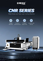 Machine de Découpe Laser Fibre Combinée à Plat et Tube Métallique CNC en Acier Inoxydable, Carénée, Certifiée CE ISO, Origine Chine, Prix Europe
