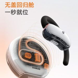 Soundcore V40i Wireless Bluetooth Earphones Open-back Sports Style IPX5 Waterproof Type-C Charging Rear-mounted - Product Image 1