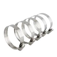 Collier de serrage sanitaire en acier inoxydable 304, plage de serrage réglable de 20 à 100 mm pour fixation de tuyaux alimentaires