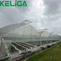 Hangar de système de panne d'électricité de serre de Skyplant pour la culture de champignon