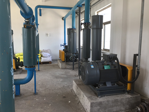 เครื่องเป่าลมแบบโรตารี่โลบ์ระดับพรีเมียม เหมาะสำหรับการขนส่งด้วยลมแรงสูง รุ่นปรับแต่งได้ - Product Image 4