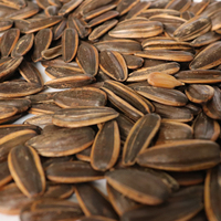 Graines de tournesol Pecon Date Coco Noix Caramel Citron Crème épicée Saveur Salage Rôtissage Sec Durci Graines de tournesol noires grillées