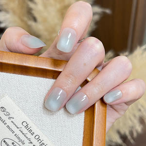 Ins Venta caliente Nails High-End Light Gray Gradient Cat Eye Wearable Tips Pure Desire Style Nail Stickers - Product Image 2