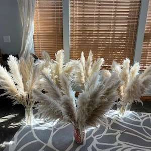 <span class=keywords><strong>PAMPAS</strong></span> GRASS 2-4ft Grande Vente Boho Home Decor Décorations Florales De Mariage Arrangement De Fleurs <span class=keywords><strong>Pampas</strong></span> Bouquet Bohème - Product Image 6