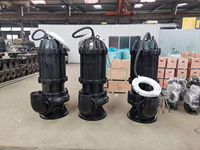 Pompe submersible pour eaux usées WQ, pompe à eaux usées, pompe à eaux usées avec fonction de découpe, pompe à eaux usées à haut débit, pompe submersible pour eaux usées en acier inoxydable 304