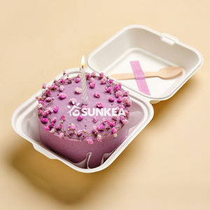 Boîte carrée compostable et biodégradable haut de gamme en pulpe de bagasse de qualité alimentaire, portable, pour gâteaux, burgers, pains, churros et sushis à emporter - Product Image 1