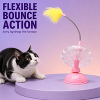 Bâton de jeu pour chat rétractable, taille personnalisable, avec plume, clochette et lumière, résistant aux morsures, manche court, pour chatons d'intérieur