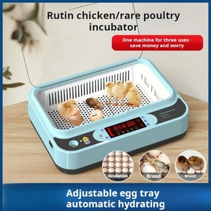 2025 Factory Direct Hofujng New Design Mini <b>Egg</b> <b>Incubator</b> Digital Temperature Control Automatic 64 <b>Eggs</b> 110V-240V - Product Image 2