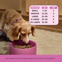 Compléments multivitaminés liquides Aonai pour chiens et chats, formule pour soutenir le système immunitaire, la santé de la peau et du pelage