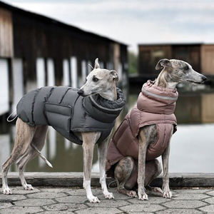 Vêtements pour chiens automne et hiver épaissi chaud imperméable coupe-vent manteau à deux jambes gilet pour animaux de compagnie manteau rembourré en coton en gros - Product Image 1
