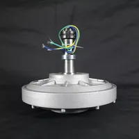 Alternateur générateur à aimants permanents sans noyau haute efficacité basse vitesse 100W 12V 200RPM Utilisation pour éolienne turbine hydraulique