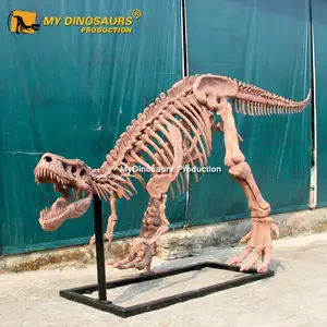 My Dino-esqueleto de dinosaurio Artificial, modelo t-rex