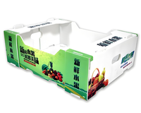 Meilleur prix pour boîte de transport en polypropylène ondulé pour légumes, chili, fruits, stockage en plastique, boîte de transport circulante