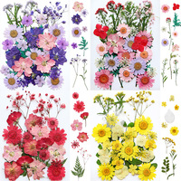 Kit de loisirs créatifs pour spécimens végétaux séchés pour les maternelles, avec fleurs séchées pressées à l'époxy, marque-page et cadre photo en résine époxy