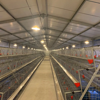 Poulailler industriel pour 10 000 poulets de chair, cages à poules pondeuses, conception de ferme avicole, structures en acier