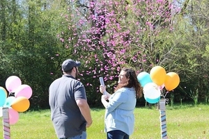 Eco friendly Canyon smoke confetti sticks gender reveal powder Poppers - Product Image 5