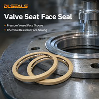 Sello de asiento de válvula para ranura de recipiente a presión, resistente a químicos, suministro de fábrica Dlseals