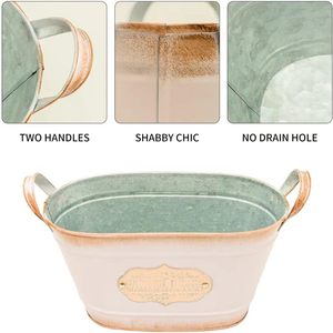 <b>Small</b> Vintage Style Metal Planter Indoor/Outdoor Iron Flower <b>Pot</b> with Handles for Home Garden or Decorative Metal Bucket - Product Image 6