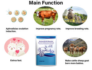 Fortificante <span class=keywords><strong>Neonatal</strong></span> Animal Enriquecido con Calostro que Estimula la Inmunidad, Mejora la Vitalidad de los Recién Nacidos y Reduce la Tasa de Mortalidad - Product Image 5