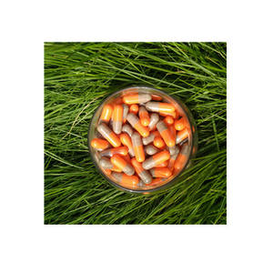 Kapsul kosong <span class=keywords><strong>Gelatin</strong></span> ikan murni bersertifikat Halal, alternatif untuk <span class=keywords><strong>Gelatin</strong></span> Bovine (B) - Product Image 4