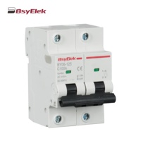 Rail Din personnalisé 1P 2P 3P 4P 80A 100A 125A AC MCB Disjoncteur miniature avec CE approuvé
