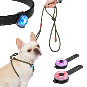 2 in 1 gece yürüyüş Light up köpek aksesuarları güvenlik uyarı led'i köpek kolye ayarlanabilir halat köpek koşum ve tasma Set - Product Image 1