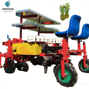 Машина для пересадки ананасов и овощей, 2-рядная, для посадки лука - Product Image 1