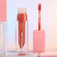 Gloss à lèvres liquide personnalisé avec logo, pigment longue tenue, waterproof, hydratant, mat, non-collant, non-décolorant, tube rose