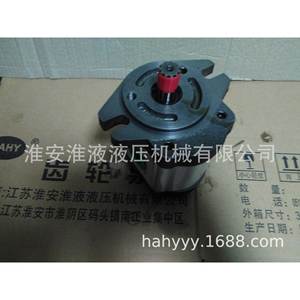 Nouvelles pompes hydrauliques à engrenages 2GG1P04/06/08R/11R/14R/16R/18R/20R/22R/25R pour systèmes, état neuf - Product Image 2