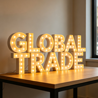 Lettres lumineuses LED 3D personnalisées, boîtes de signalisation pour les entreprises automobiles - Décoration publicitaire directionnelle, alimentation AC, étanche IP65