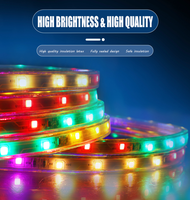 Tira de Luces LED RGB, 48 LED/m, Cambio de Color, Impermeable, Luz de Neón Flexible, Cinta de Luz para Exteriores y Paisajismo