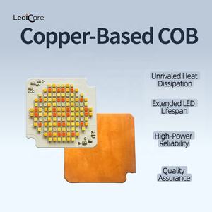 Venta Especial: Chip <span class=keywords><strong>LED</strong></span> <span class=keywords><strong>COB</strong></span> Bicolor Rojo y Verde de <span class=keywords><strong>200W</strong></span>+<span class=keywords><strong>200W</strong></span> 300W+300W 6060, 2650K-7500K, 97 CRI, Iluminación para Video y Fotografía - Product Image 3