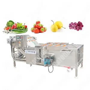 Chinese Ginger Garlic Watercress Fruit and Vegetable Washer Processing and Packing Line for Root Vegetables