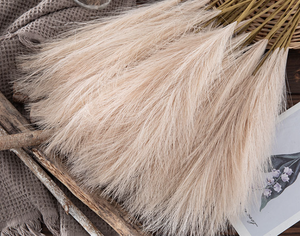 <span class=keywords><strong>Fiori</strong></span> di Pampas Soffici e Durevoli per Decorazioni Matrimoniali, <span class=keywords><strong>Fiori</strong></span> Secchi Direttamente dalla Fabbrica - Product Image 5