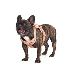 Lüks ayarlanabilir köpek tasması tasma ve koşum seti üreticisi özel Logo PVC Poop çanta tutucu ile hiçbir çekme köpek koşum seti