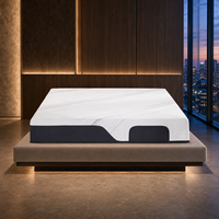Matelas en mousse à mémoire de forme gel Queen Size de 12 pouces, livré en boîte, pour chambre principale et chambre d'amis, avec confort en mousse de soutien